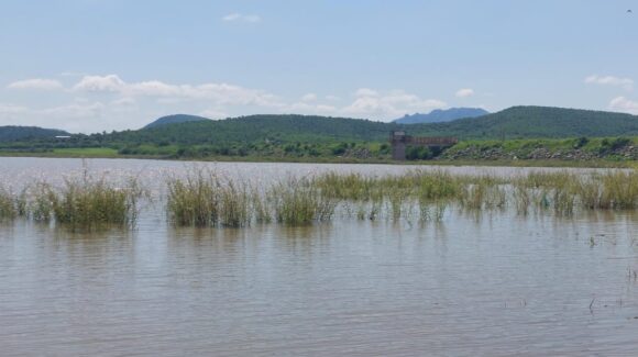 Preparan primer torneo de pesca en la presa Eustaquio Buelna en Guamúchil; será el 20 de septiembre
