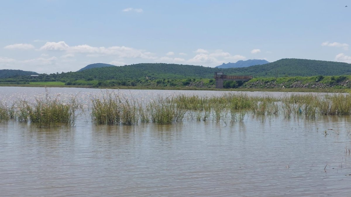presa eustaquio buelna en guamuchil