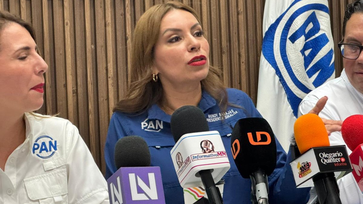 presidenta del comite directivo estatal del pan wendy barajas cortes