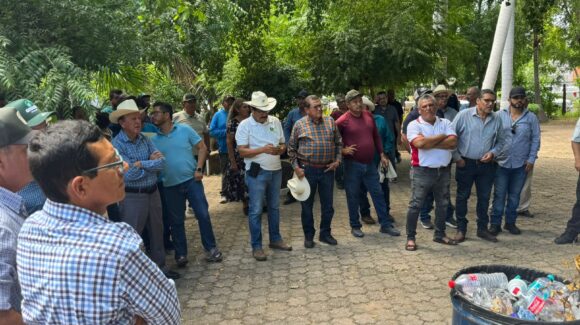 Sader se compromete a iniciar esta semana la dispersión de apoyo de 800 pesos para productores de maíz en Sinaloa