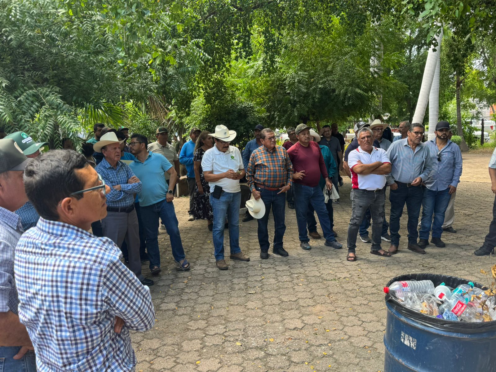 Productores de maíz