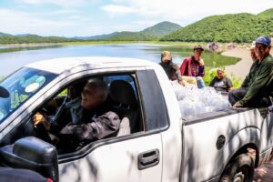 Programa de siembra de alevines en presa El Sabinal, en Sinaloa municipio