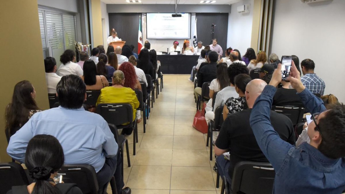 promueven en sinaloa reconocimiento y ejercicio de los derechos de las personas afromexicanas y afrodescendientes lugar