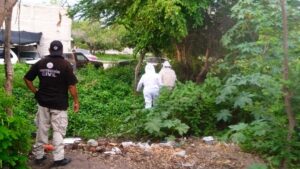 proteccion civil de escuinapa sinaloa enjambres lugar