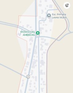 Nueve postes de CFE colapsan en Las Américas por caída de árbol