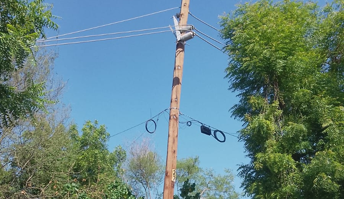 Rayo derriba árbol y provoca colapso de nueve postes de la CFE en Las Américas, en Guasave