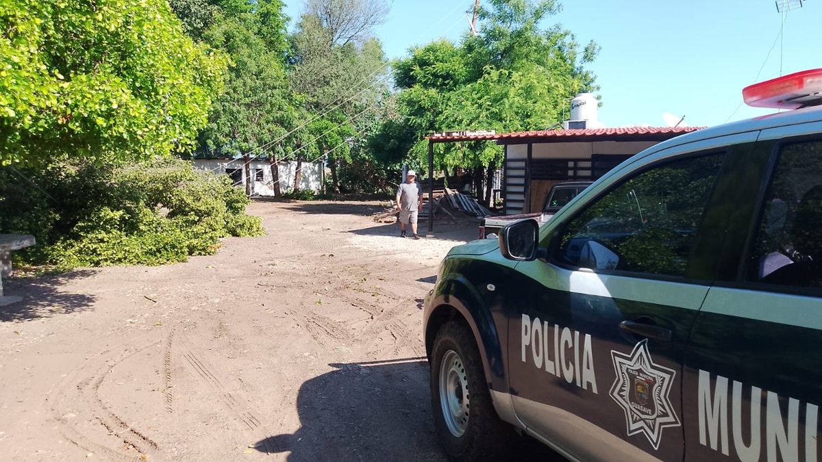 Rayo derriba árbol y provoca colapso de nueve postes de la CFE en Las Américas, en Guasave