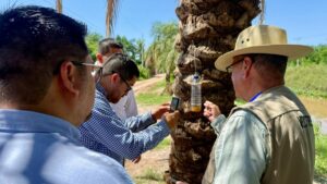 realizan brigada de salud en el diez culiacan pruba