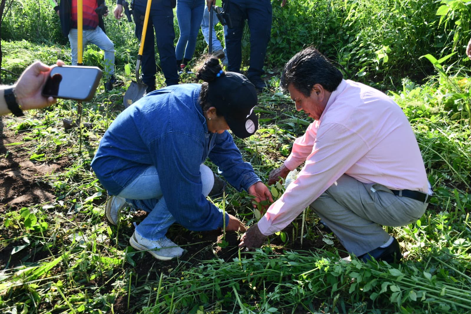Jornada de reforestación en Mocorito
