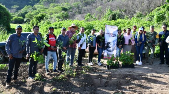 Mocorito inicia jornada de reforestación en zonas afectadas por incendios en Cerro Agudo e Higuera de los Vega