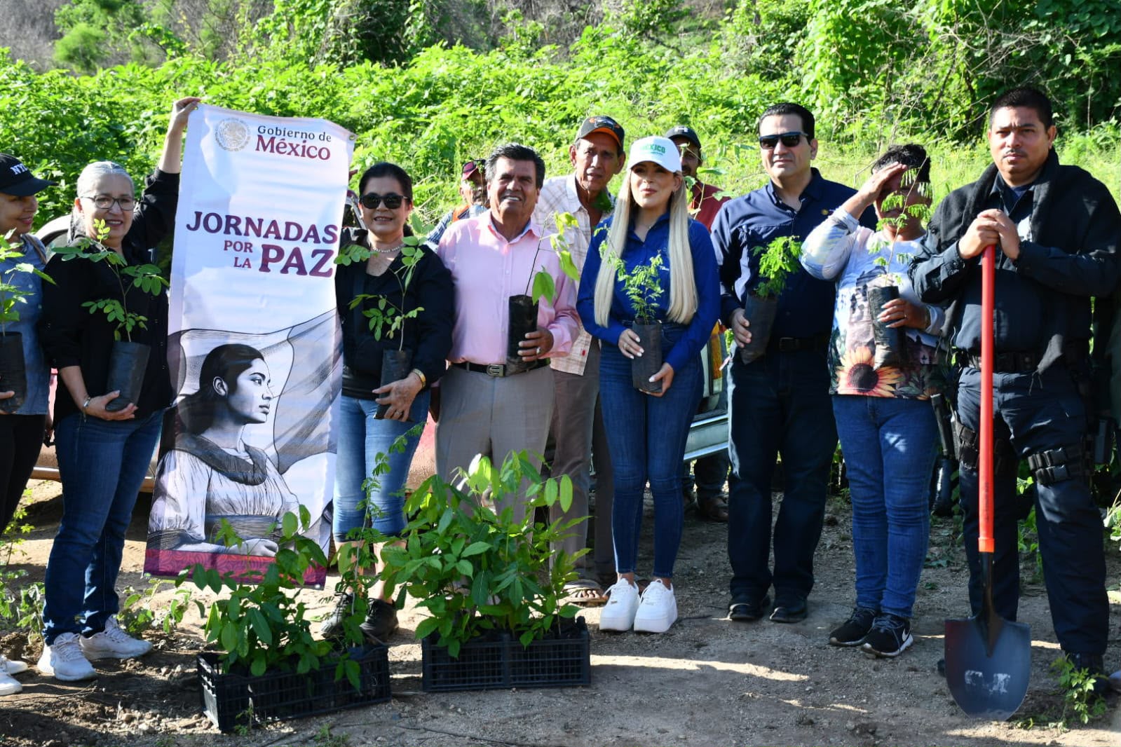 Jornada de reforestación en Mocorito