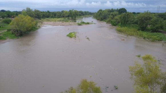 ¡Otro cocodrilo anda suelto! Ahora restringen acceso en río Presidio y arroyo de Villa Unión, Mazatlán, Sinaloa