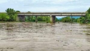 Reportan avistamiento de cocodrilo en inmediaciones del arroyo La Cachaza, Villa Unión