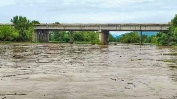 Mantienen alerta en Villa Unión por presencia de cocodrilo; piden no ingresar al río Presidio