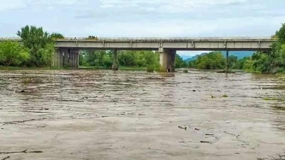 Reportan avistamiento de cocodrilo en inmediaciones del arroyo La Cachaza, Villa Unión