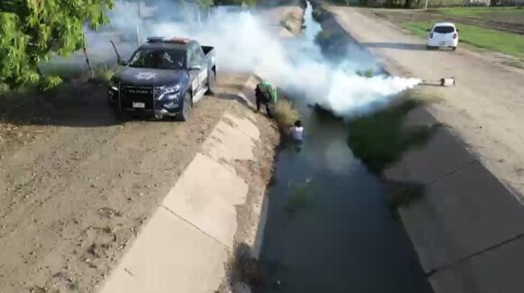 VIDEO: policías rescatan a dos adultas mayores durante feroz ataque de abejas en Guasave, Sinaloa