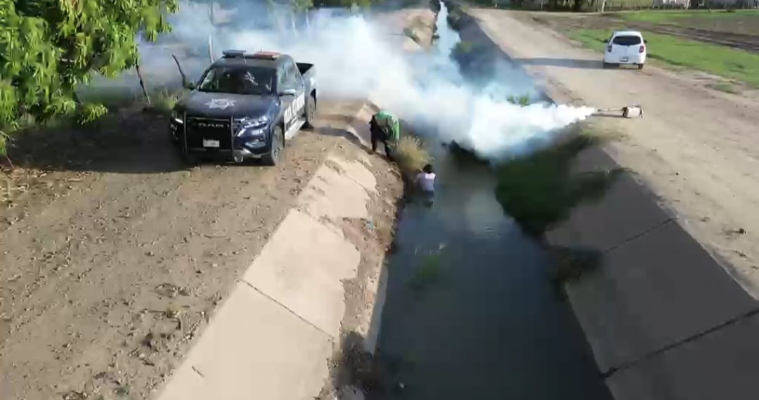Rescatan a dos adultas mayores de enjambre de abejas en Guasave, Sinaloa