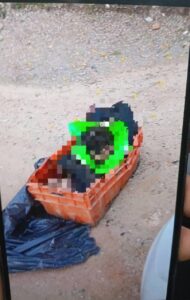 Restos humanos cerca del panteón de El Habal, Mazatlán