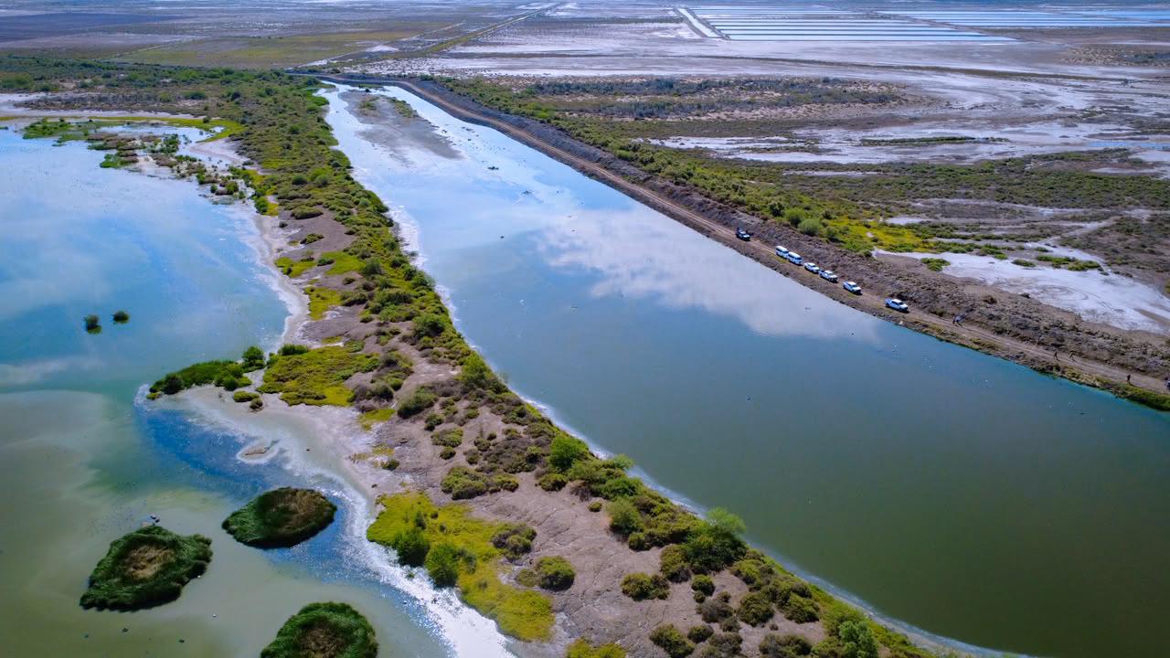 Suman esfuerzos Ayuntamiento de Ahome y Conagua para desazolve del Dren Juárez