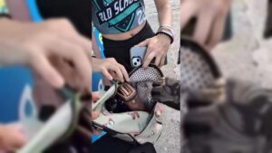 revision corporal a madre e hija en mazatlan sin