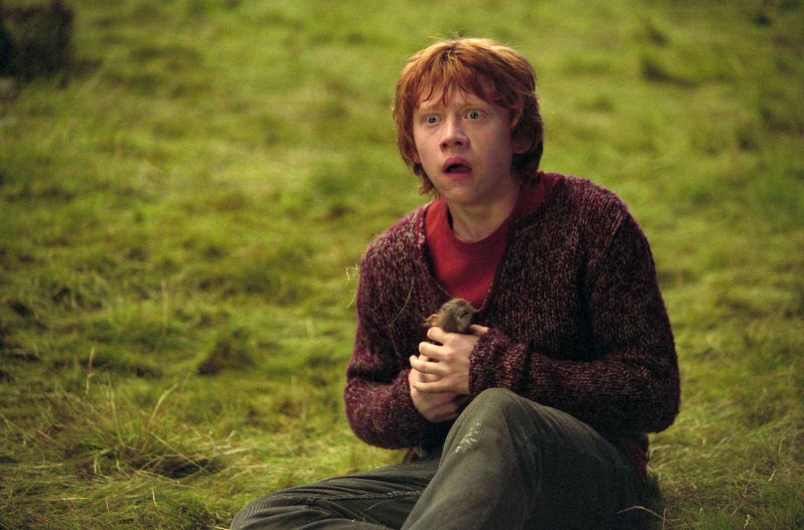 Ron Weasly (Rupert Grint)