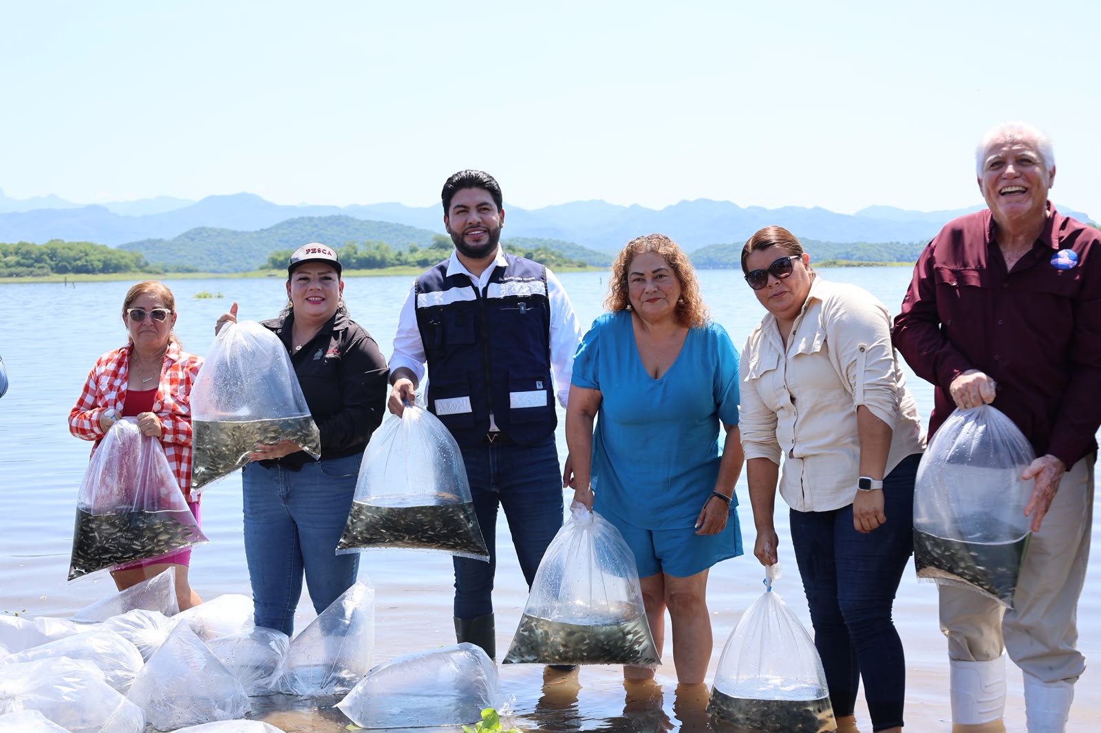 Siembran alevines de tilapia en la presa El Salto, en Elota