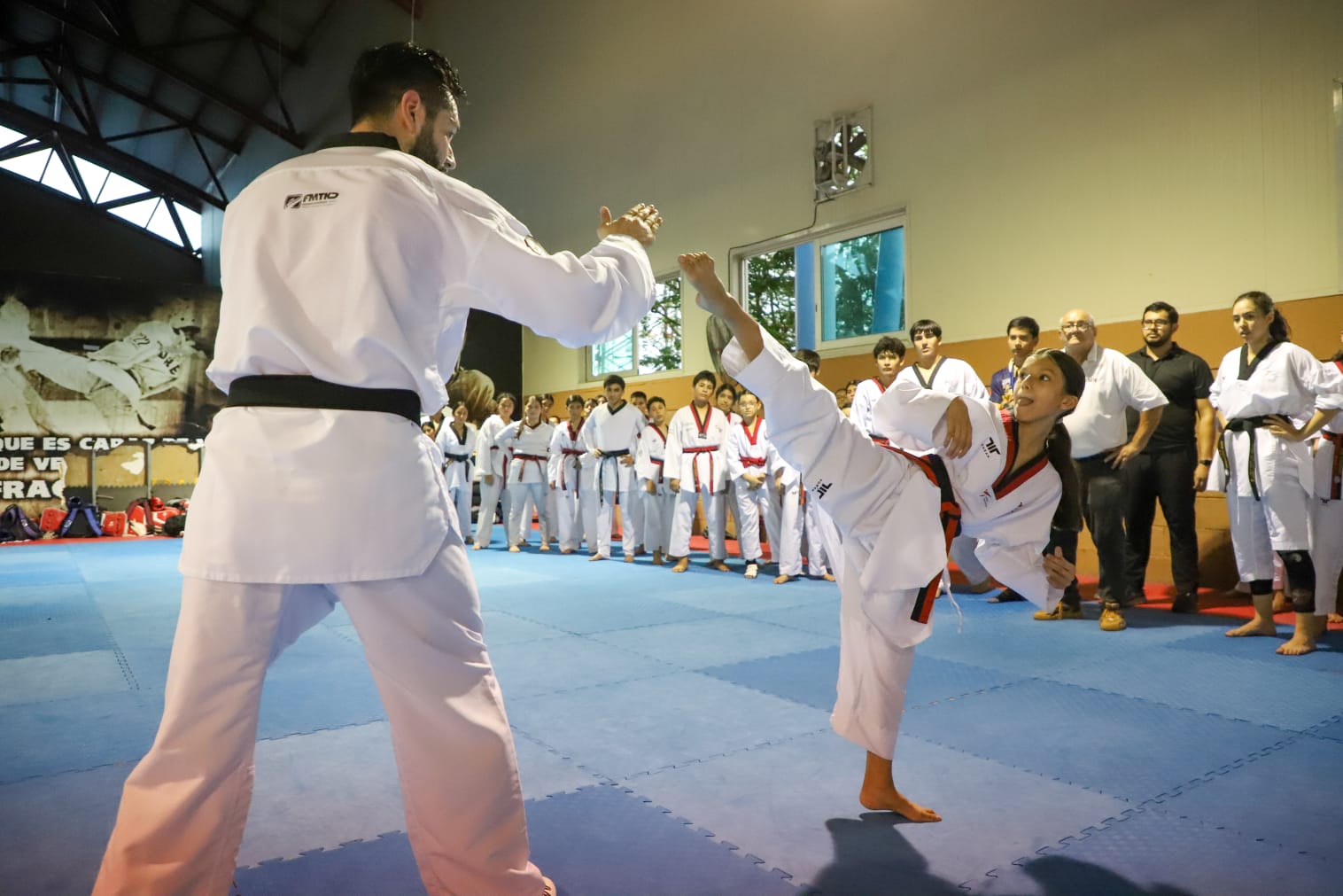 Taekwondo