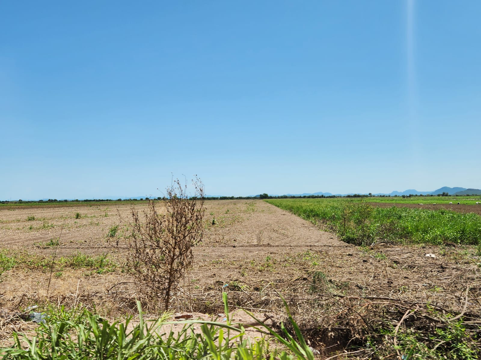 Tierras de cultivo