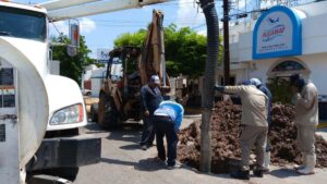 trabajos de japama en los mochis obra