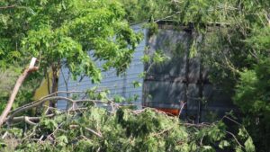 trailer se sale del camino y choca contra arboles en el libramiento mazatlan culiacan lugar