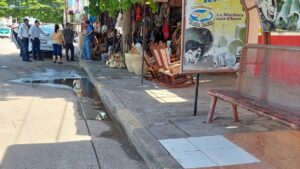 vialidad y tansporte de guamuchil sinaloa lugar