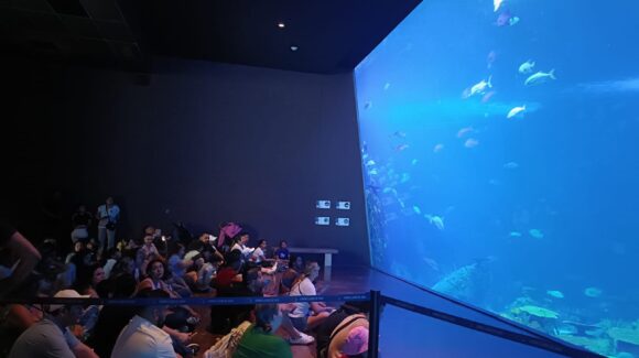 ¡Imperdible! 9 de cada 10 turistas nacionales visitan el Gran Acuario Mazatlán, Sinaloa, estas vacaciones