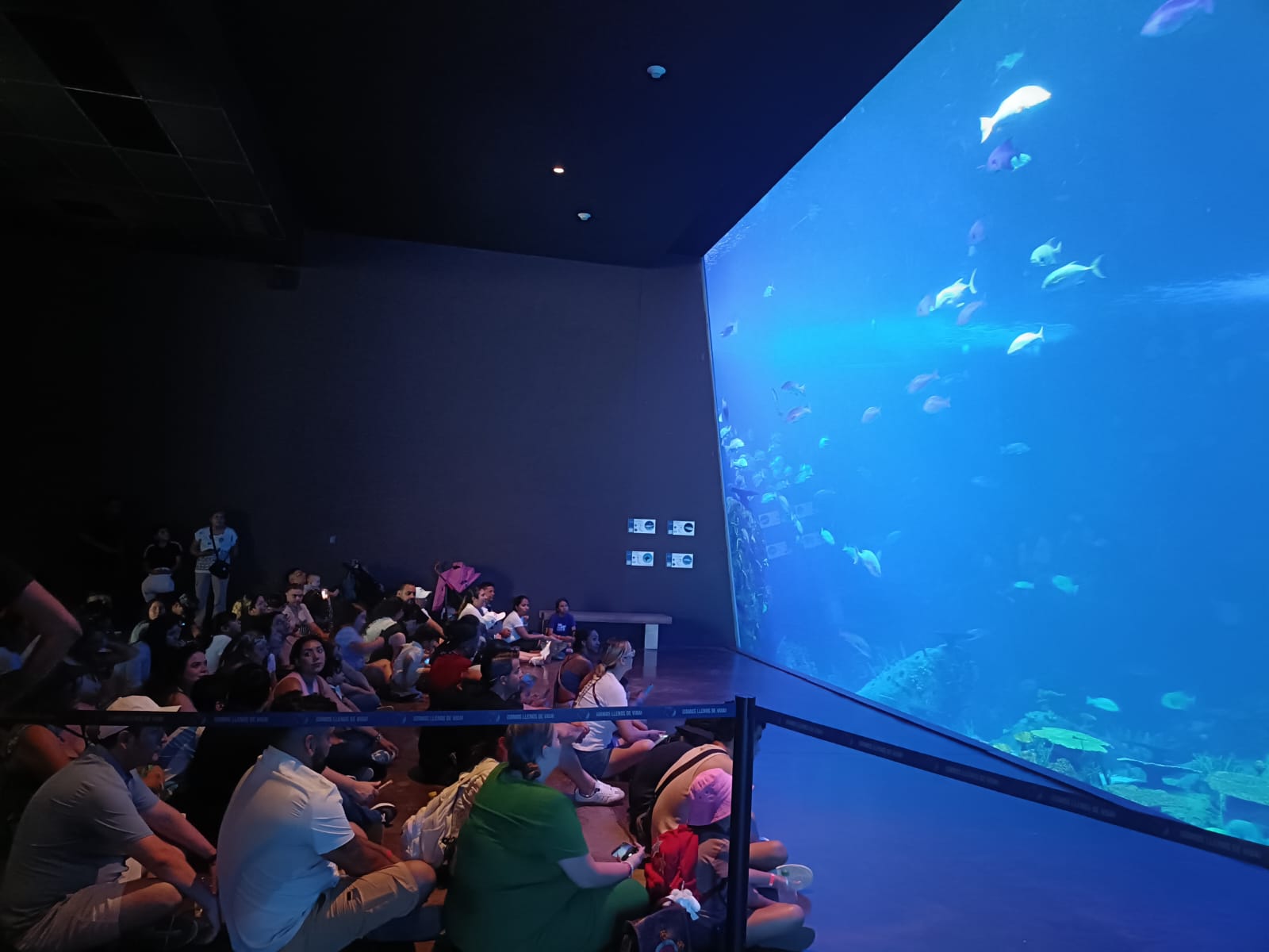 Visitantes del Gran Acuario, en Mazatlán