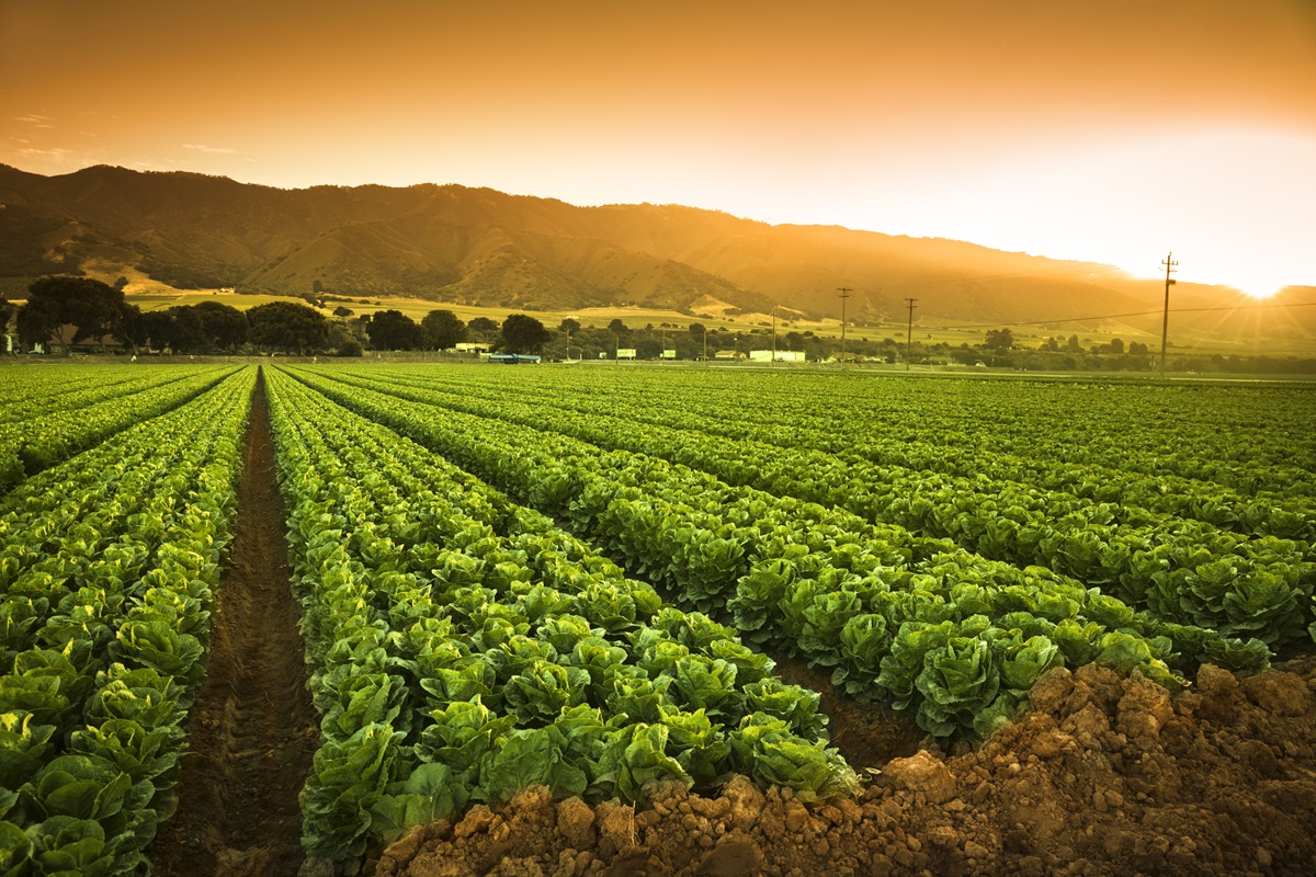 9 de Septiembre, Día Mundial de la Agricultura