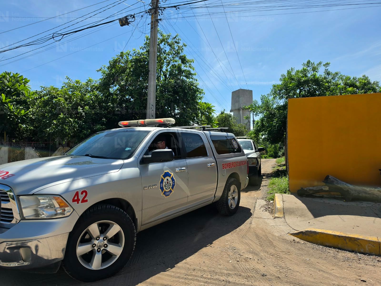 Abejas atacan a pareja de indigentes en las Juntas de Humaya de Culiacán
