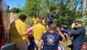 Abejas atacan a pareja de indigentes en las Juntas de Humaya de Culiacán