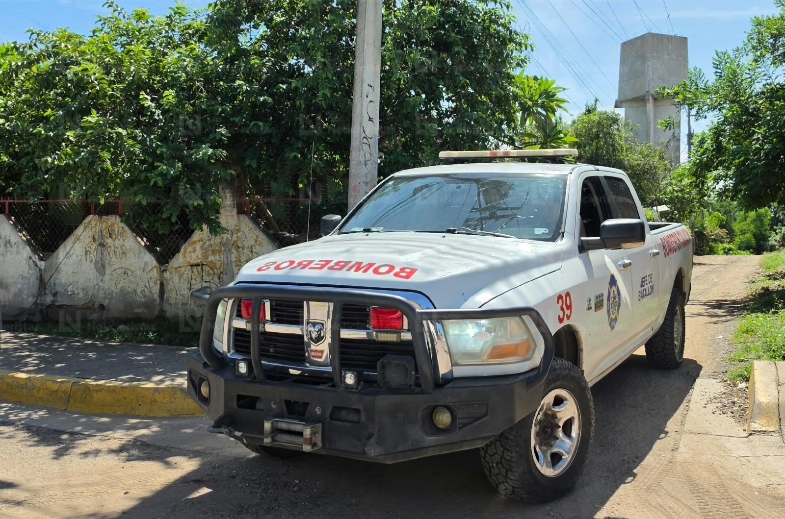 Abejas atacan a pareja de indigentes en las Juntas de Humaya de Culiacán