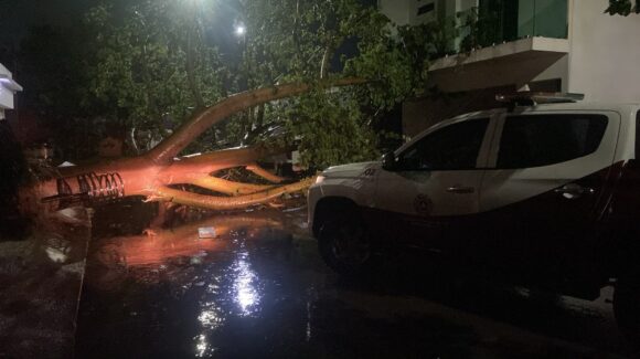 Lluvias dejan dos árboles caídos en Culiacán y canales al 60%: Protección Civil