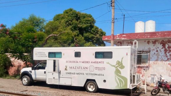 Llevan esterilizaciones a la zona de Astilleros, para atender a perros y gatos en Mazatlán