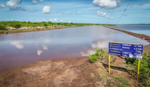 Crecida del mar mantiene incomunicada vía terrestre a la comunidad costera de Yameto, Navolato
