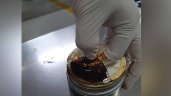 Decomisan ayahuasca en el AICM; llegó de Perú