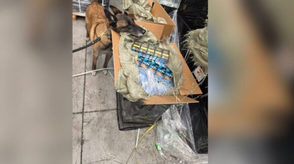 Decomisan más de 5 millones de cigarros en la aduana del AICM