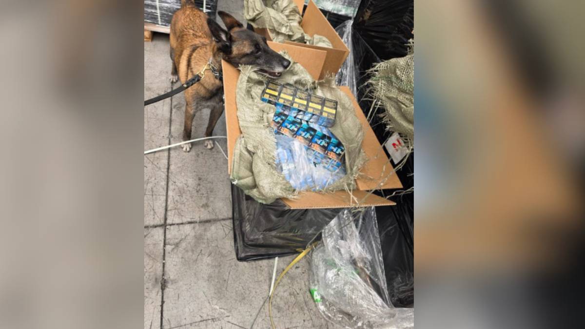 Decomisan más de 5 millones de cigarros en la aduana del AICM