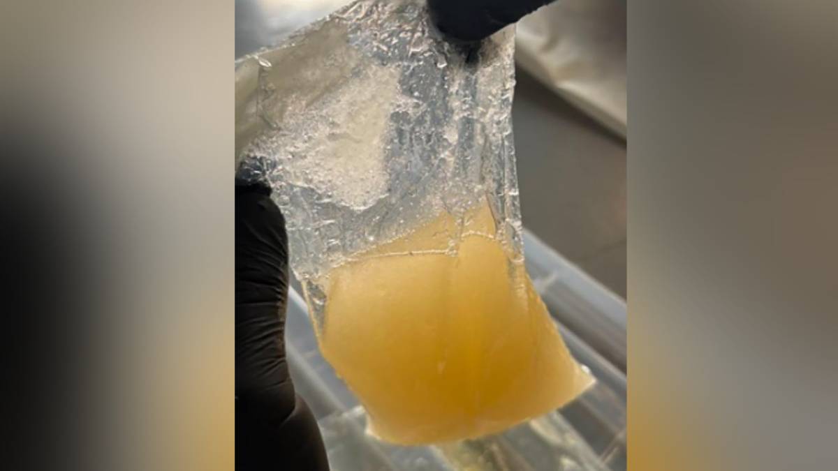 Detectan más de 10 kilos de metanfetamina en la Aduana de Toluca