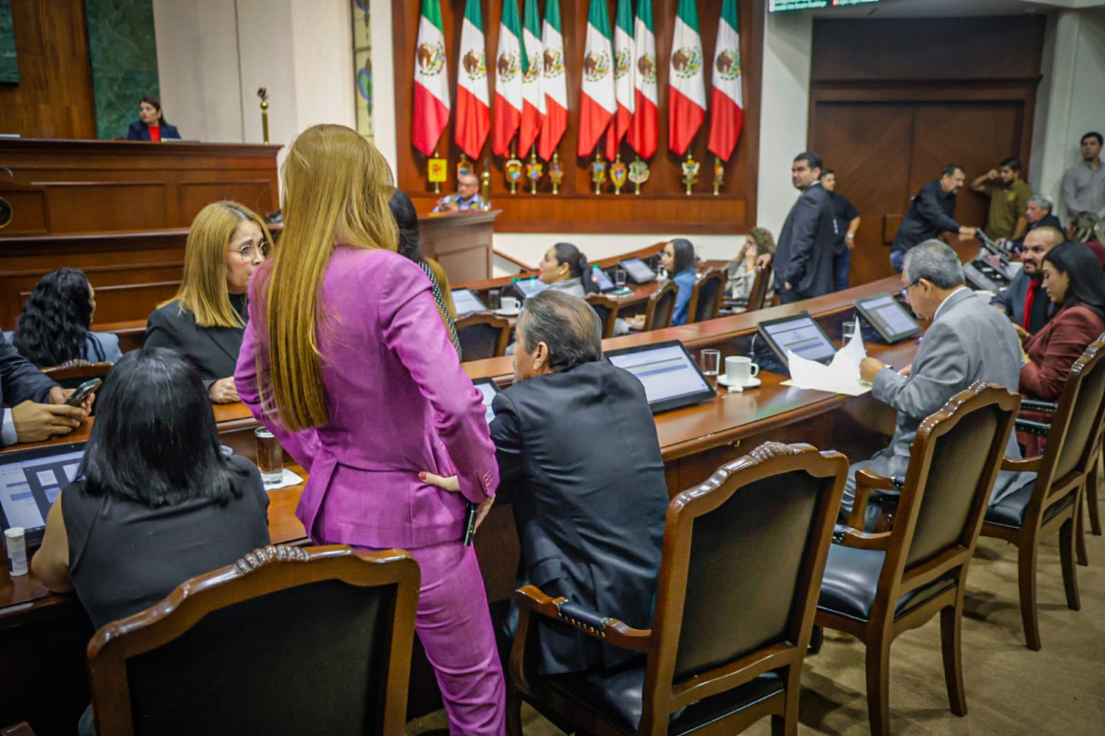Diputada Paola Garate reclama en el Congreso