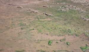 Drenaje colapsado inunda de aguas negras varias cuadras del centro de Los Mochis
