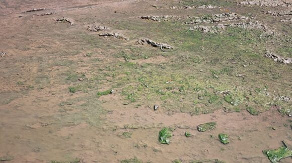Drenaje colapsado inunda de aguas negras varias cuadras del centro de Los Mochis