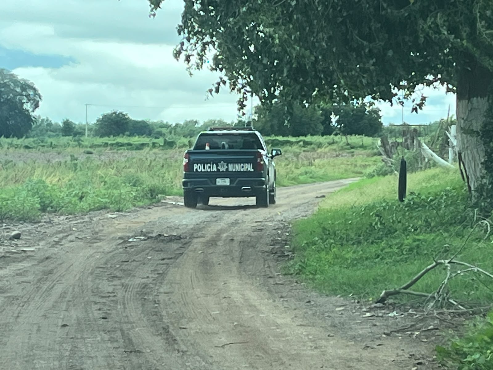 Encuentren una mujer sin vida en Guasave