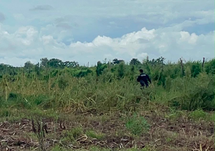 Encuentren una mujer sin vida en Guasave