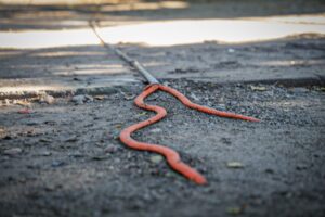 Escuela primaria donde falleció madre de familia por una descarga electrica en Culiacán